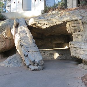 Northern Frontier - Polar Bear Plunge - Play Cave