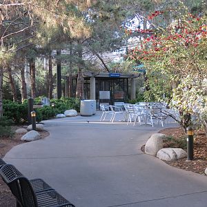 Northern Frontier - Polar Bear Plunge - Path