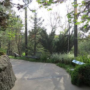 Northern Frontier - Polar Bear Plunge - Arctic Aviary