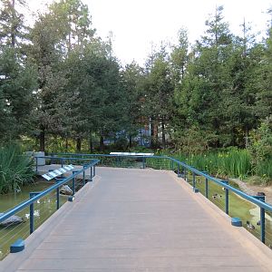 Northern Frontier - Polar Bear Plunge - 2 Waterfowl Exhibits