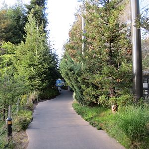 Northern Frontier - Polar Bear Plunge - Path