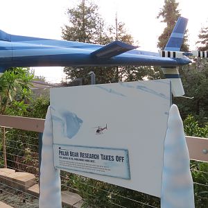 Northern Frontier - Polar Bear Plunge - Helicopter