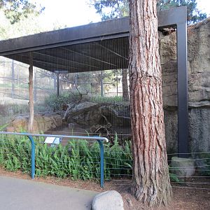 Northern Frontier - Polar Bear Plunge - Arctic Fox Exhibit