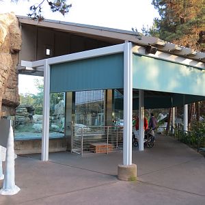 Northern Frontier - Polar Bear Plunge - Polar Bear Exhibit