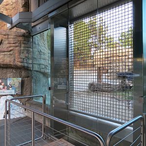 Northern Frontier - Polar Bear Plunge - Polar Bear Exhibit