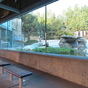 Northern Frontier - Polar Bear Plunge - Polar Bear Exhibit