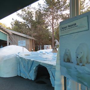 Northern Frontier - Polar Bear Plunge - Polar Bear Interpretive Play Area