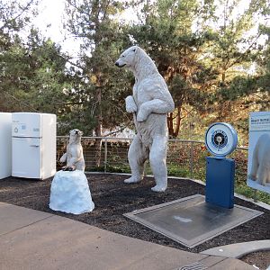 Northern Frontier - Polar Bear Plunge - Polar Bear Interpretive Play Area