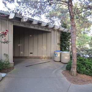 Northern Frontier - Polar Bear Plunge - Polar Bear Exhibit