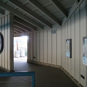 Northern Frontier - Polar Bear Plunge - Polar Bear Exhibit