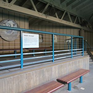 Northern Frontier - Polar Bear Plunge - Polar Bear Exhibit