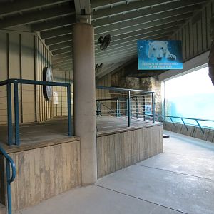 Northern Frontier - Polar Bear Plunge - Polar Bear Exhibit