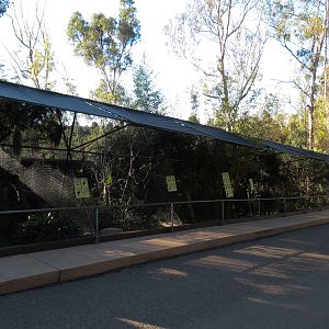 Northern Frontier - Bird Exhibits