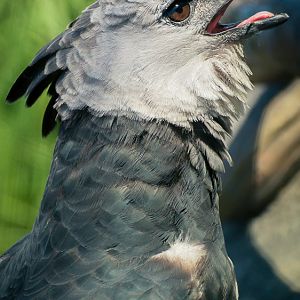 As Close To Me As You Are Now