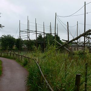 Gibbon Exhibit at South Lakes, 04/07/14