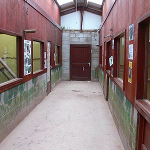 Primate interior at South Lakes, 04/07/14