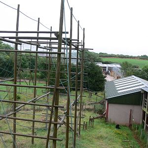 Primate Exhibits at South Lakes, 04/07/14