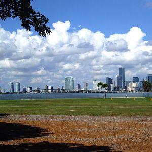 View to Downtown from Miami Seaquarium, 16/10/13