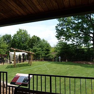 Left Side of Bison Exhibit - May 2014
