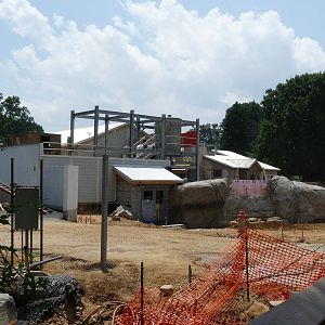 Penguin Exhibit Construction - July 2014