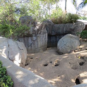 Africa Rocks - Kopje - Southwest African Meerkat Exhibit
