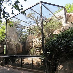 Africa Rocks - Kopje - Aviary
