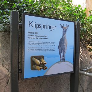 Africa Rocks - Kopje - Kopje - Klipspringer, Rock Hyrax, and Dwarf Mongoose