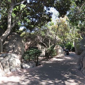 Africa Rocks - Kopje - Path