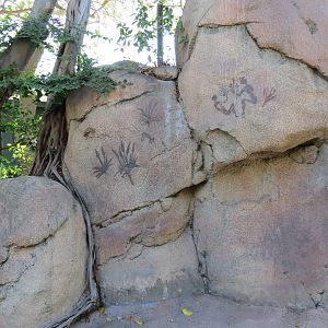 Africa Rocks - Kopje - Path