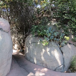 Africa Rocks - Kopje - Path