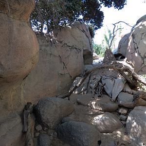 Africa Rocks - Kopje - Kopje - Klipspringer, Rock Hyrax, and Dwarf Mongoose