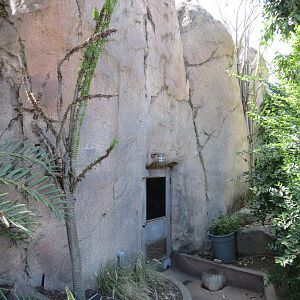 Africa Rocks - Kopje - Keeper Access