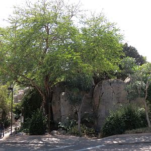 Africa Rocks - Kopje