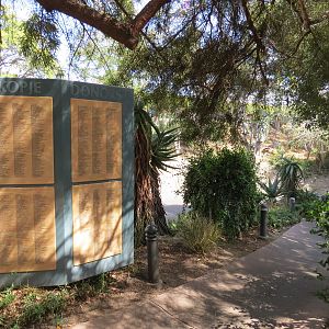 Africa Rocks - Kopje - Path