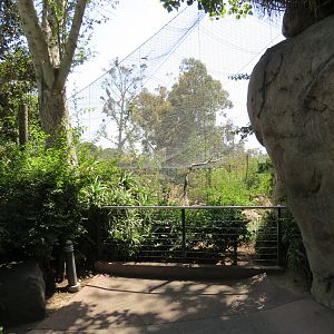 Africa Rocks - Kopje - Bataleur Eagle Exhibit