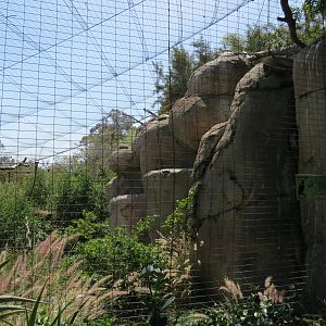Africa Rocks - Kopje - Bataleur Eagle Exhibit