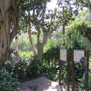 Africa Rocks - Kopje - Path