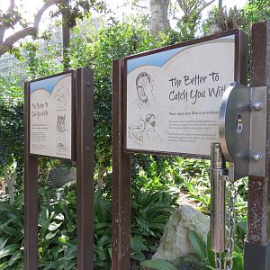 Africa Rocks - Kopje - Interpretive Graphics