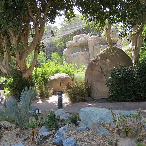 Africa Rocks - Kopje - Path