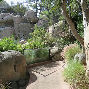 Africa Rocks - Kopje - Bataleur Eagle Exhibit