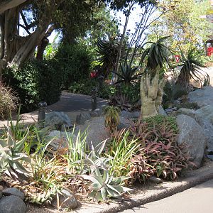 Africa Rocks - Kopje - Path