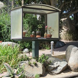 Africa Rocks - Kopje - Botanic Display