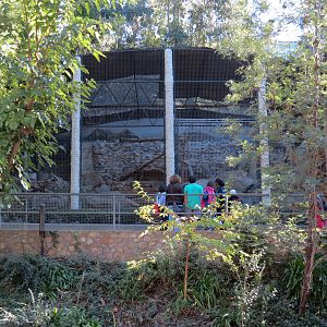 Africa Rocks - Snow Leopard Exhibit