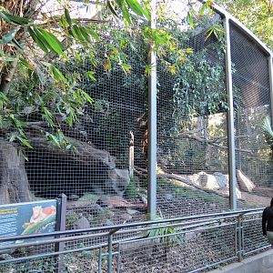 Africa Rocks - Jaguar Exhibit