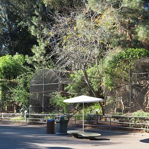 Africa Rocks - Old Cage Exhibits
