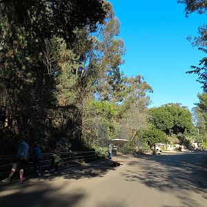 Africa Rocks - Old Cage Exhibits