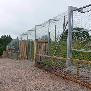 Carnivore Country at South Lakes, 04/07/14