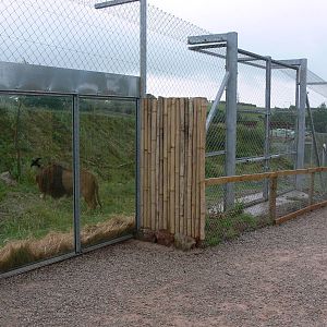 Carnivore Country at South Lakes, 04/07/14