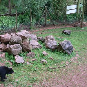 South American Exhibit at South Lakes, 04/07/14