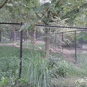 Enclosure Black-necked cranes